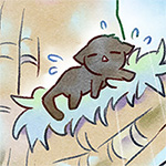ねこ.jpg